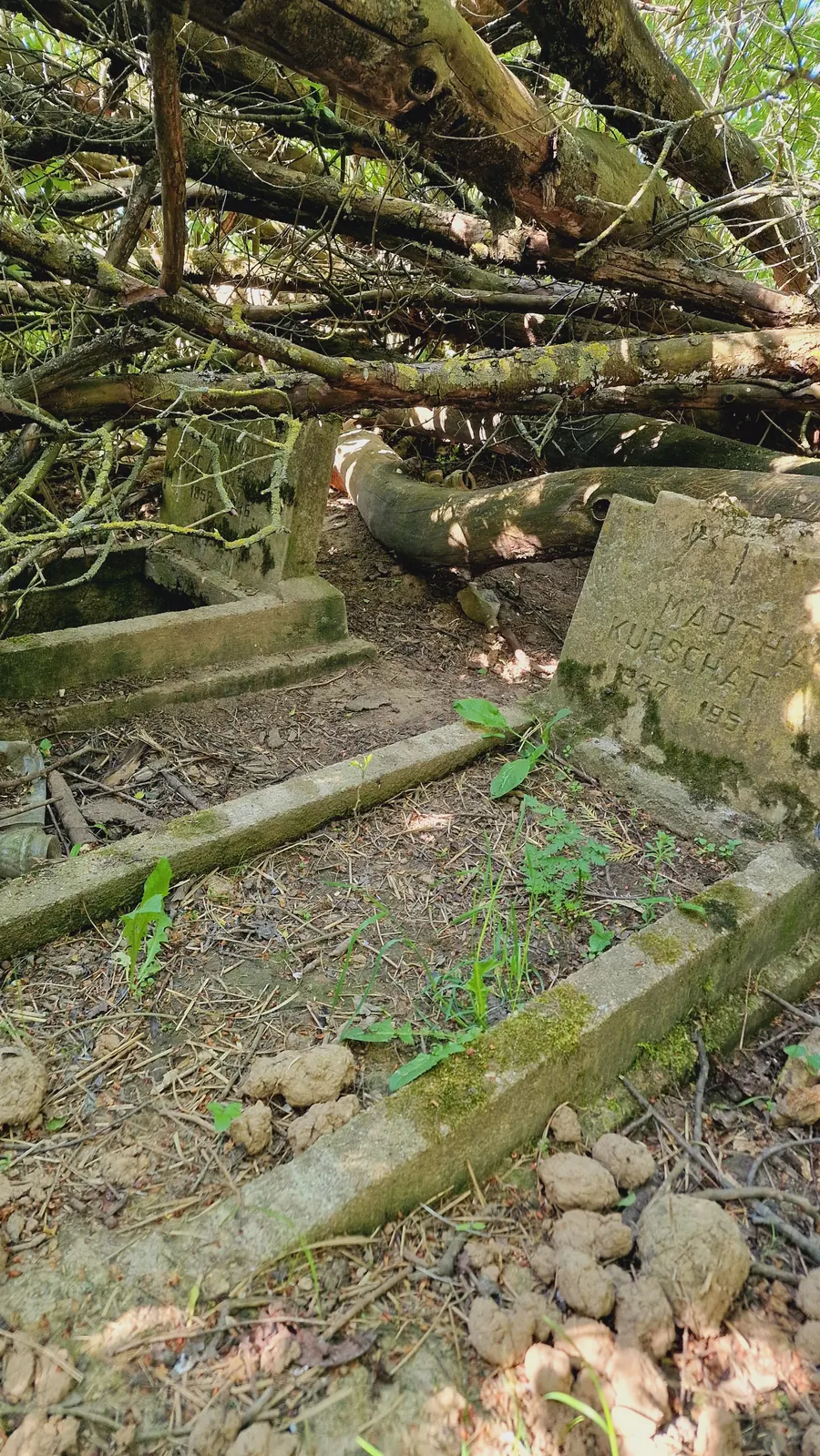 Grabstein im Wald