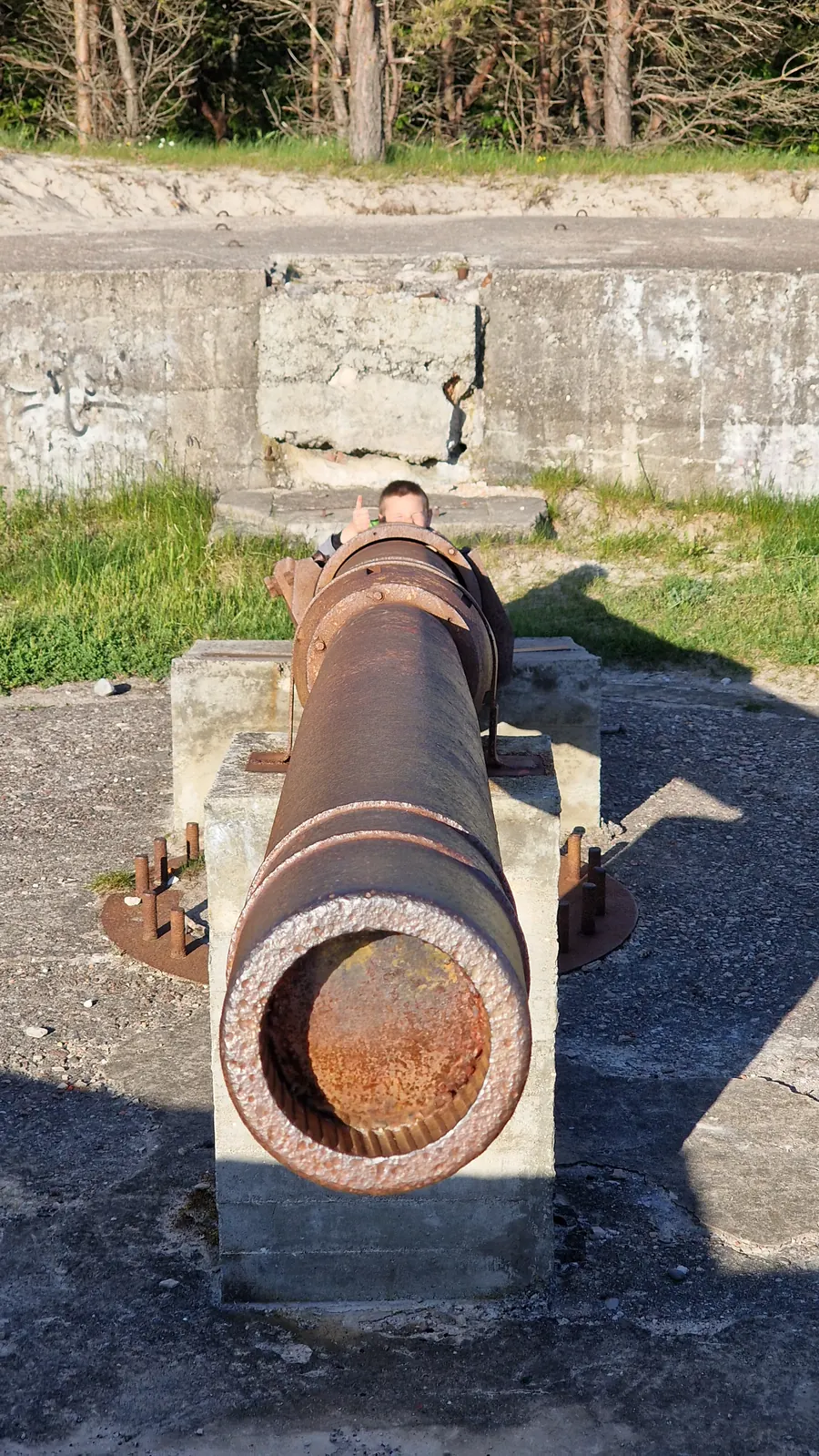 Rostendes Geschütz an der Ostseeküste im Memelland